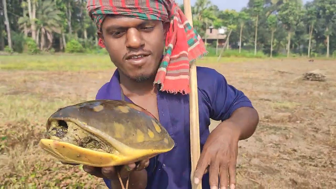 Amezing turtle caught। এই ভাই কচ্ছপ ধরার ট্যালেন্ট দেখে সবায় অবাক