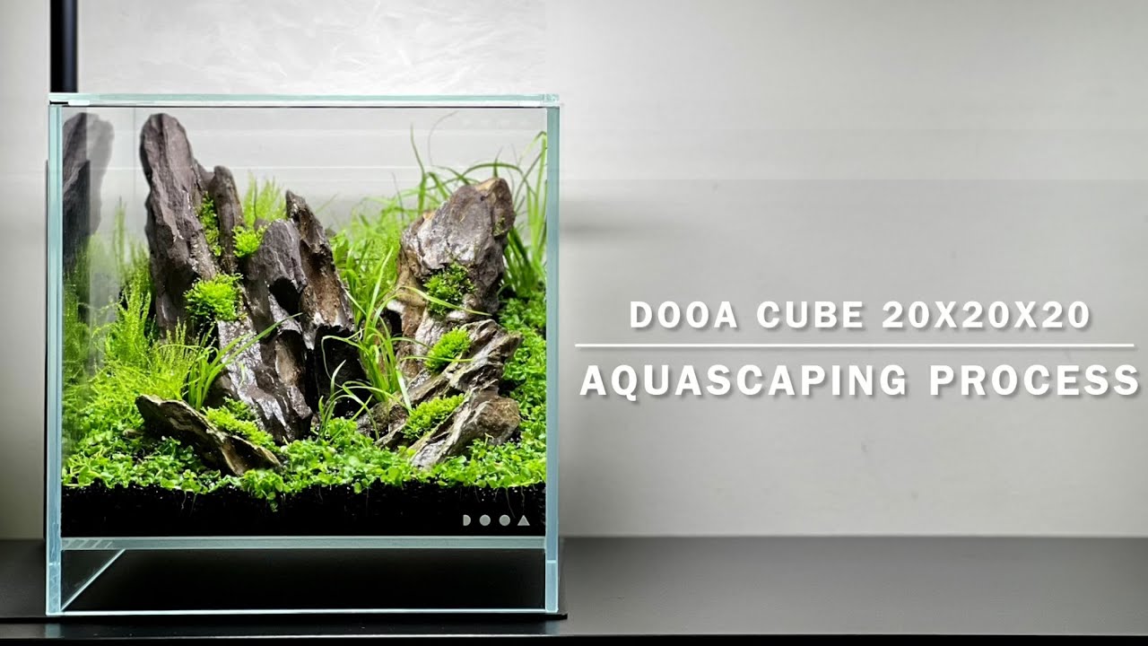DOOA Neo Glass Air, planting process, Unboxing ONF Flat Nano + (4K video)