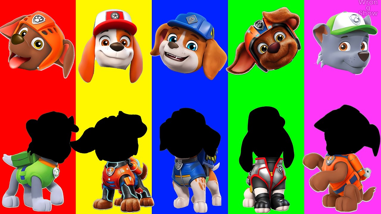 Wrong eyes 👀 Paw Patrol Family Friendly Full Episodes - DAME TU COSITA Funny Puzzle Wrong Heads #63