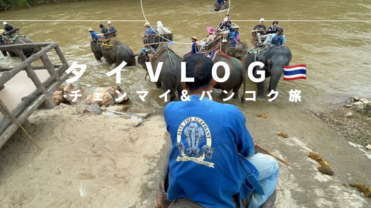 【タイ🇹🇭Vlog】チェンマイ&バンコク詰め込み旅