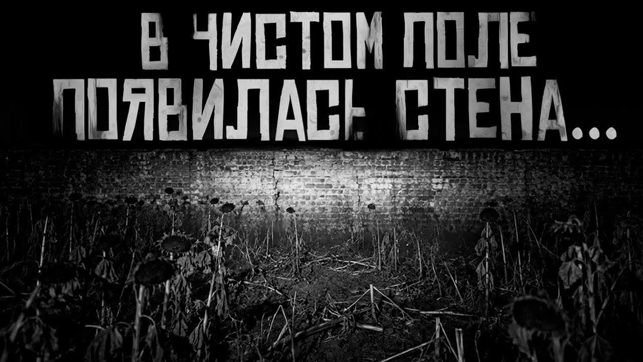 В ЧИСТОМ ПОЛЕ ПОЯВИЛАСЬ СТЕНА... Страшные истории на ночь. Страшилки на ночь.