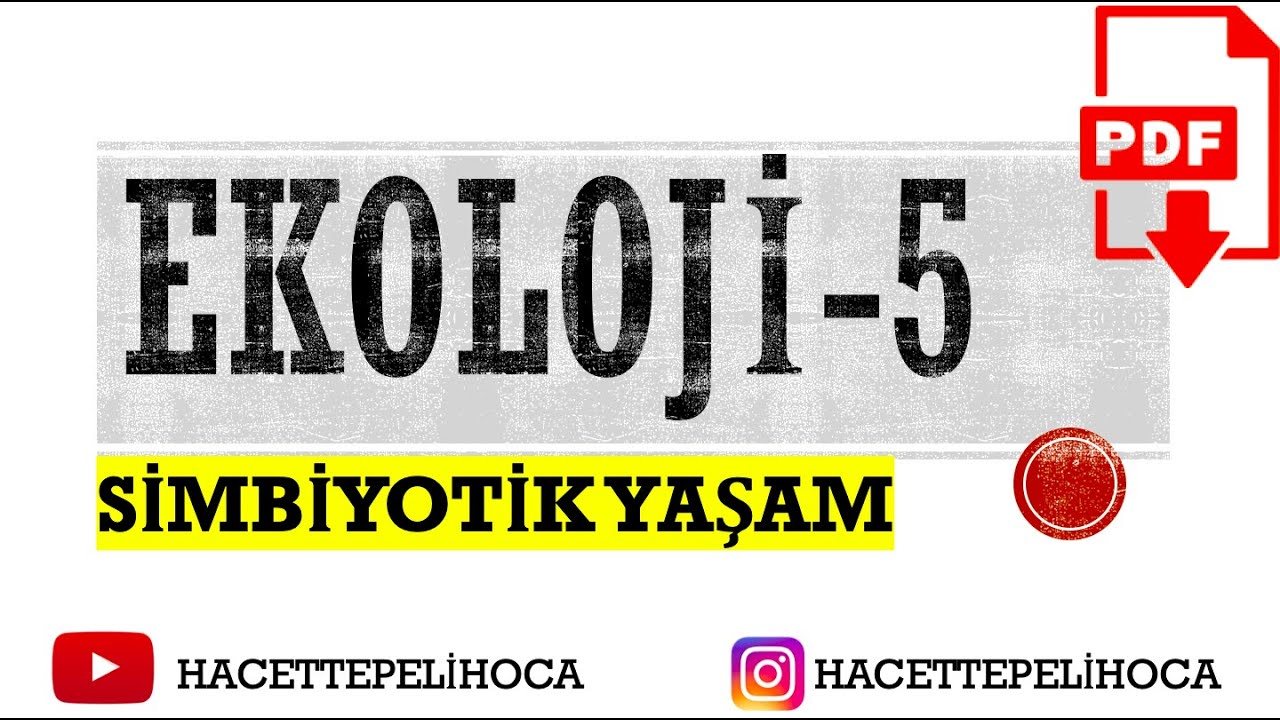 120 | EKOLOJİ 5 | SİMBİYOTİK İLİŞKİ | 10. SINIF| TYT | #hacettepelihoca #ekoloji