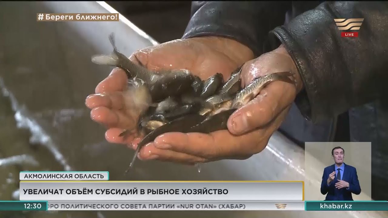 Субсидии для рыбного хозяйства увеличат в 2 раза
