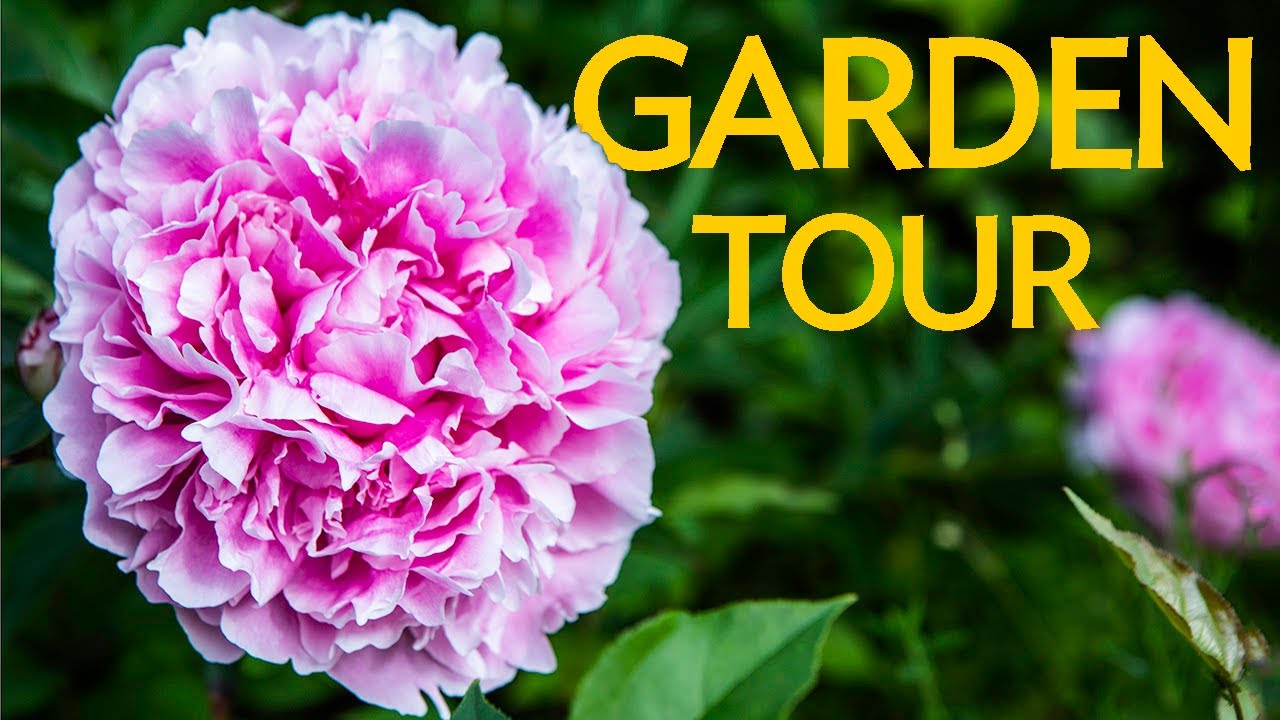 Georgeson Botanical Garden Tour