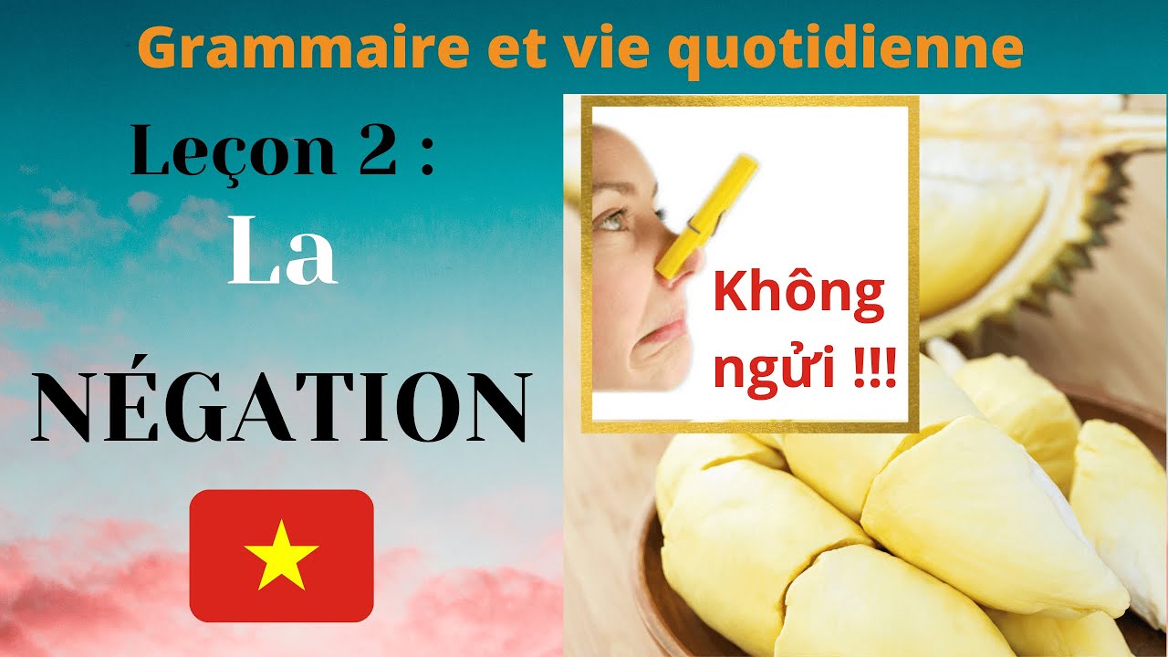 Leçon 2 - La NEGATION en vietnamien | Grammaire et vie quotidienne | Aller Ô Vietnam