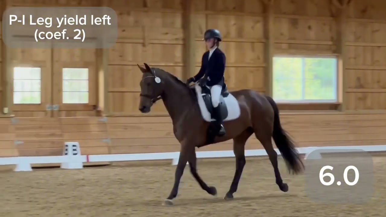 USDF First Level 3: Regionals qualifying test! Arden Juliet