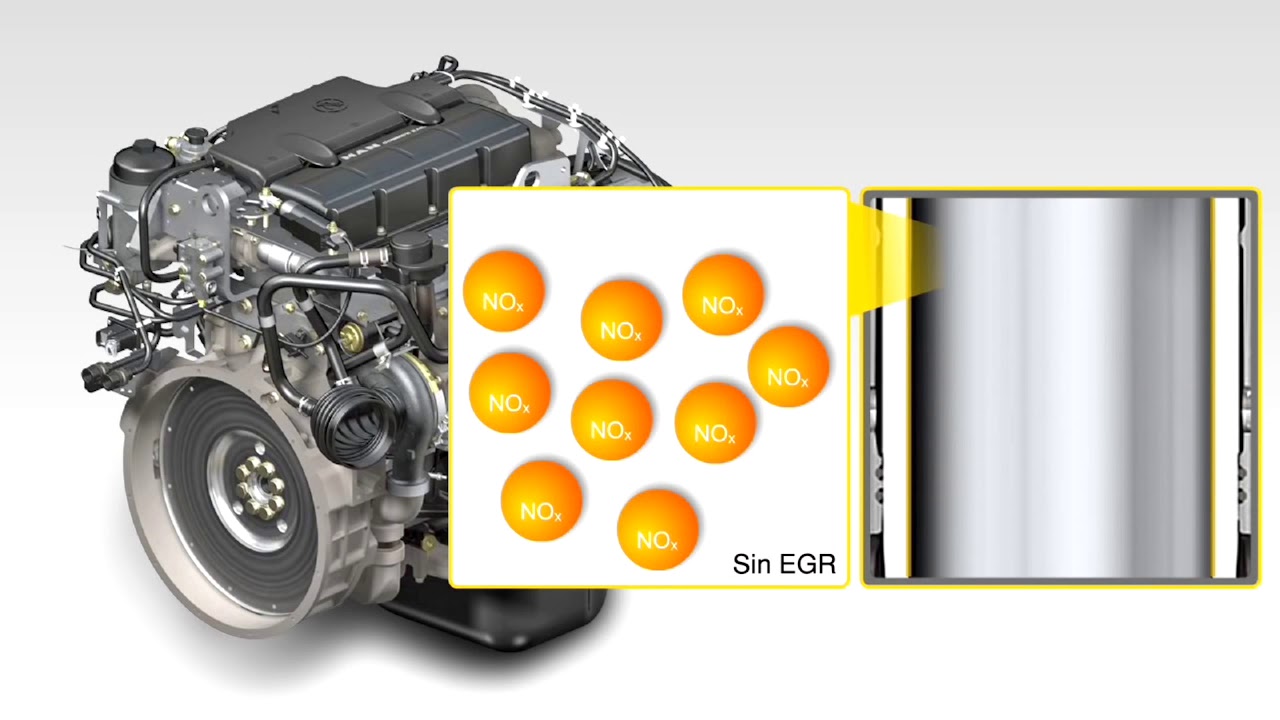 MOTOR MAN D08 - Volkswagen Camiones y Buses