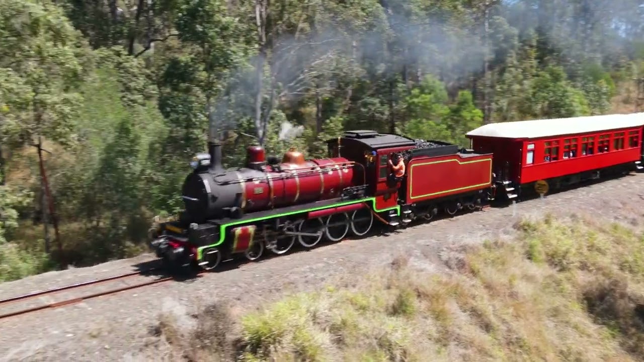 THE MARY VALLEY RATTLER