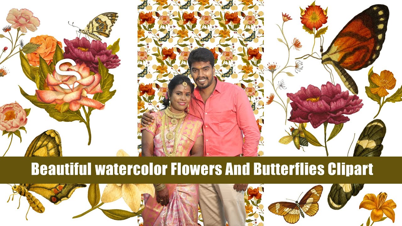 Beautiful watercolor Flowers And Butterflies Clipart | Thendral barathi photography
