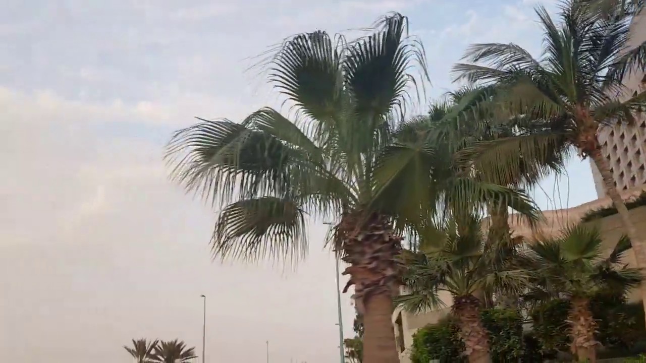 Red Sea Jeddah - Night View البحر الأحمر جدة - منظر ليلي