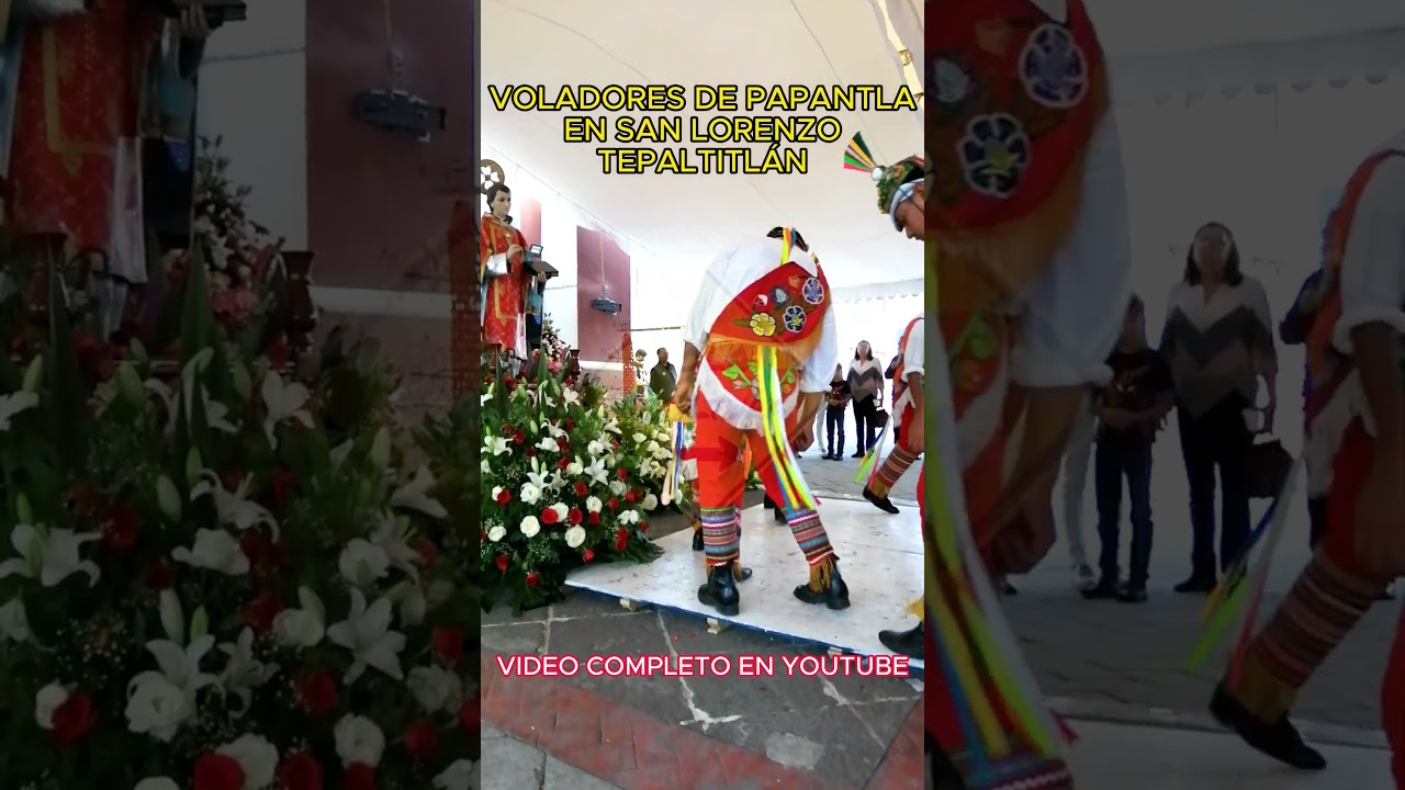 🎶VOLADORES DE PAPANTLA🌞 #holacooltura #sanlorenzotepaltitlan