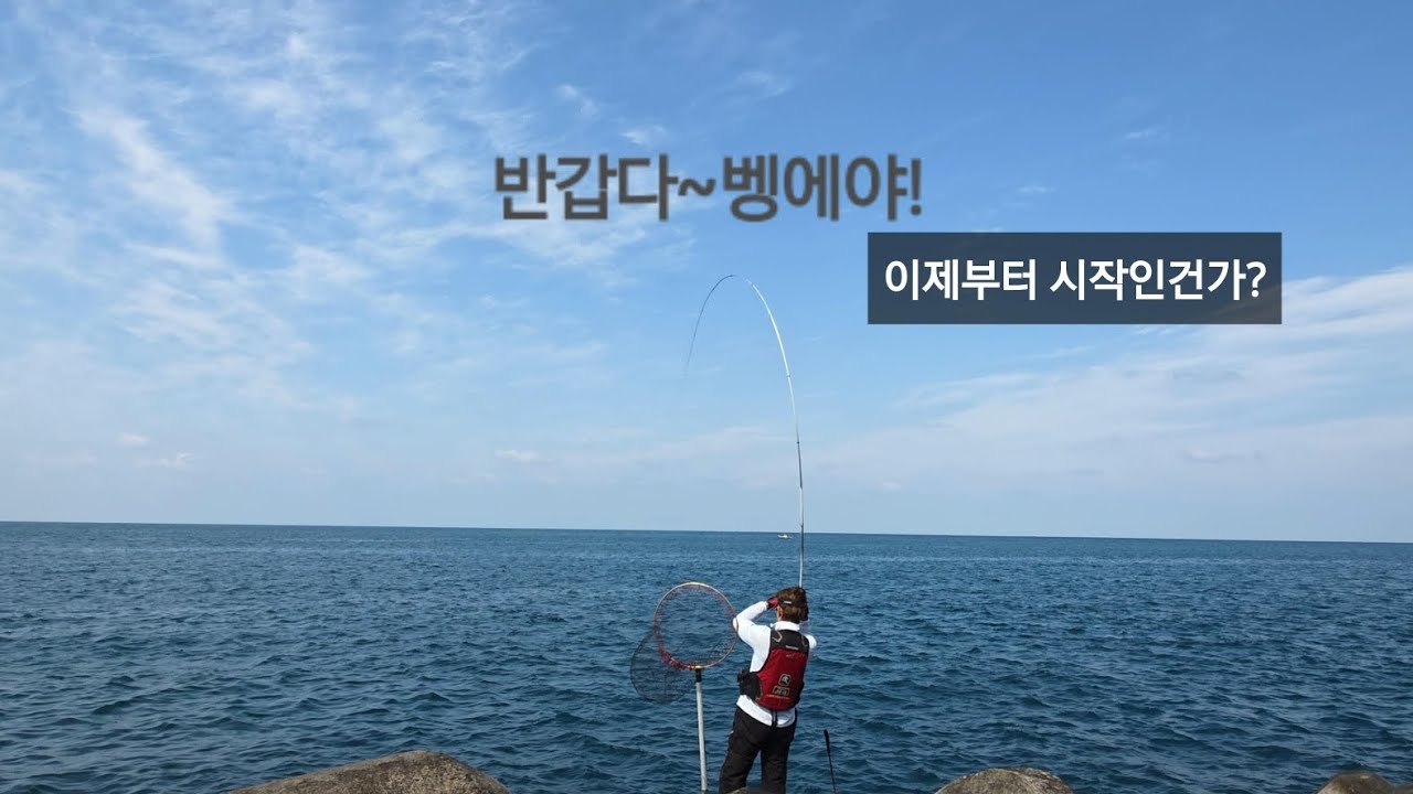 반갑다~벵에야!