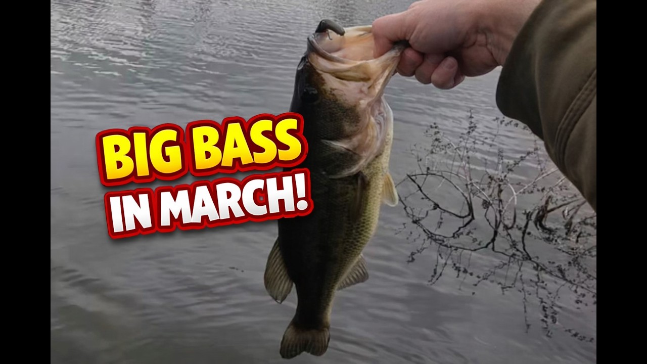 Big Bass In March!