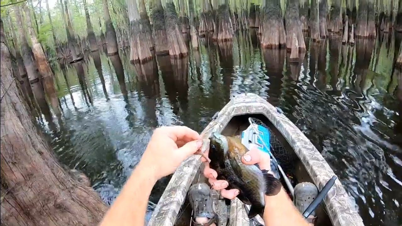 Fishing for Shellcracker and Bream on Little Pee Dee