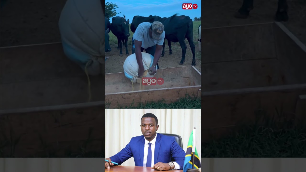 ALIYEKUWA WAZIRI WA MAMBO YA NDANI BASHUNGWA KATIKA HARAKATI ZA UFUGAJI JIMBONI KARAGWE.