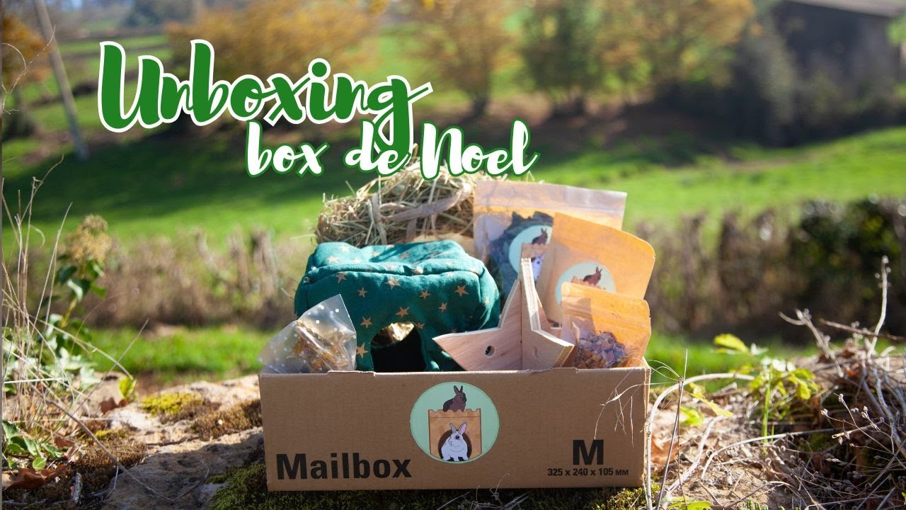 Unboxing zoo-box de Noël avec mes lapins