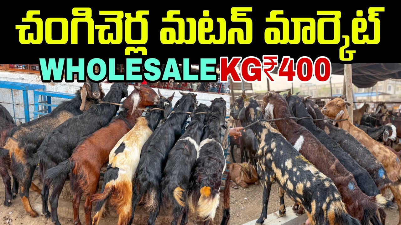 Chengicherla Whole sale Mutton Market KG-400 | Hyderabad Mutton Market | Foodie Sandeep