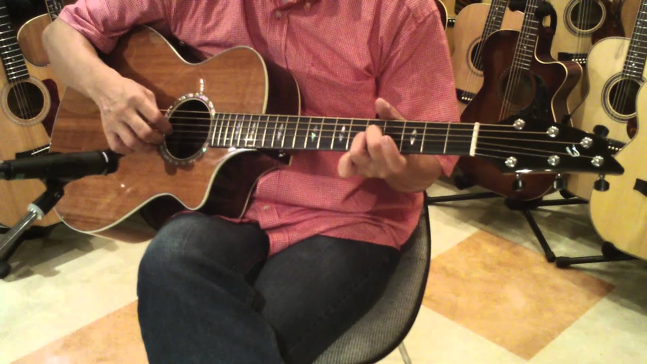 Dolphin Guitars - BREEDLOVE  Focus SE Demo - Player 細川MASH