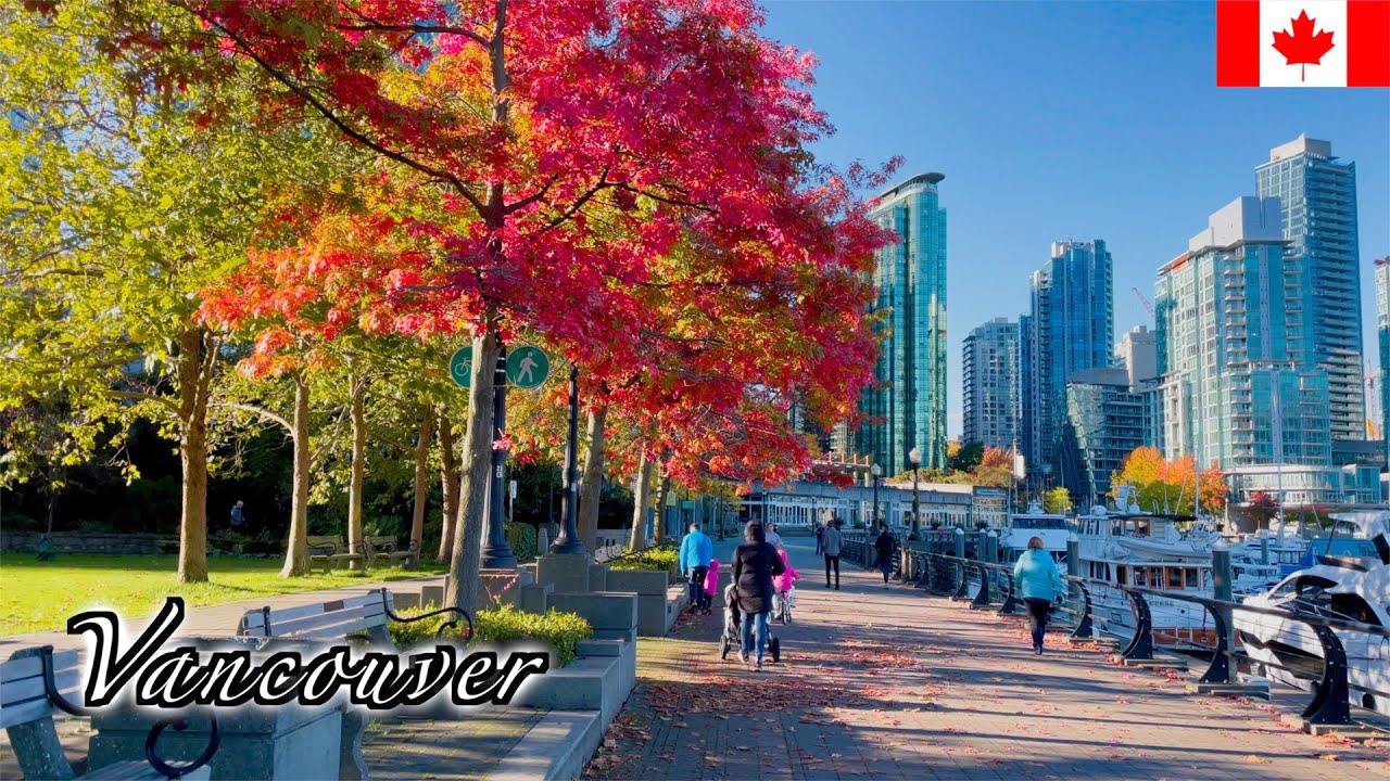 🇨🇦Vancouver Autumn Walk - Coal Harbour with Autumn Foliage - 【4K 60fps】