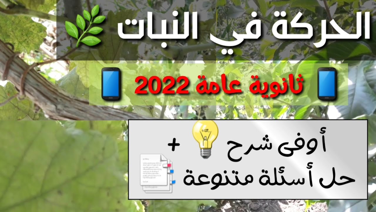 شرح الحركة في النبات بشكل مبسط وشامل / ثانوية عامة 2022