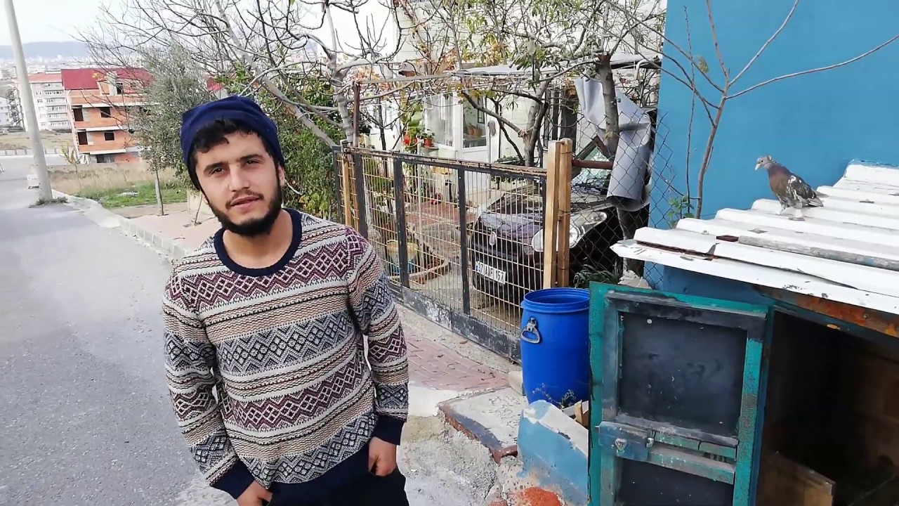 Hırsızlar Dikkat, Kümesin Kapısında Elektrik Var. Çayırovadan Ahmetin Taklacı Oyun Güvercinleri
