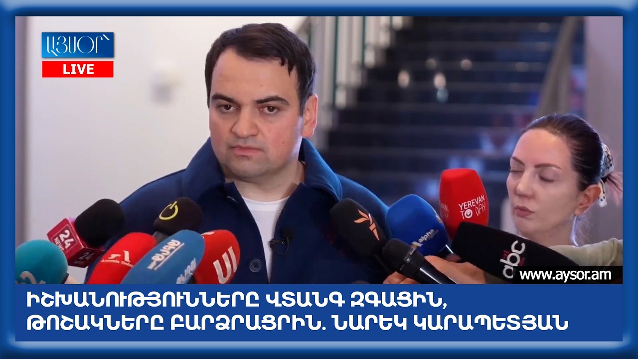 Իշխանությունները վտանգ զգացին, թոշակները բարձրացրին. Նարեկ Կարապետյան