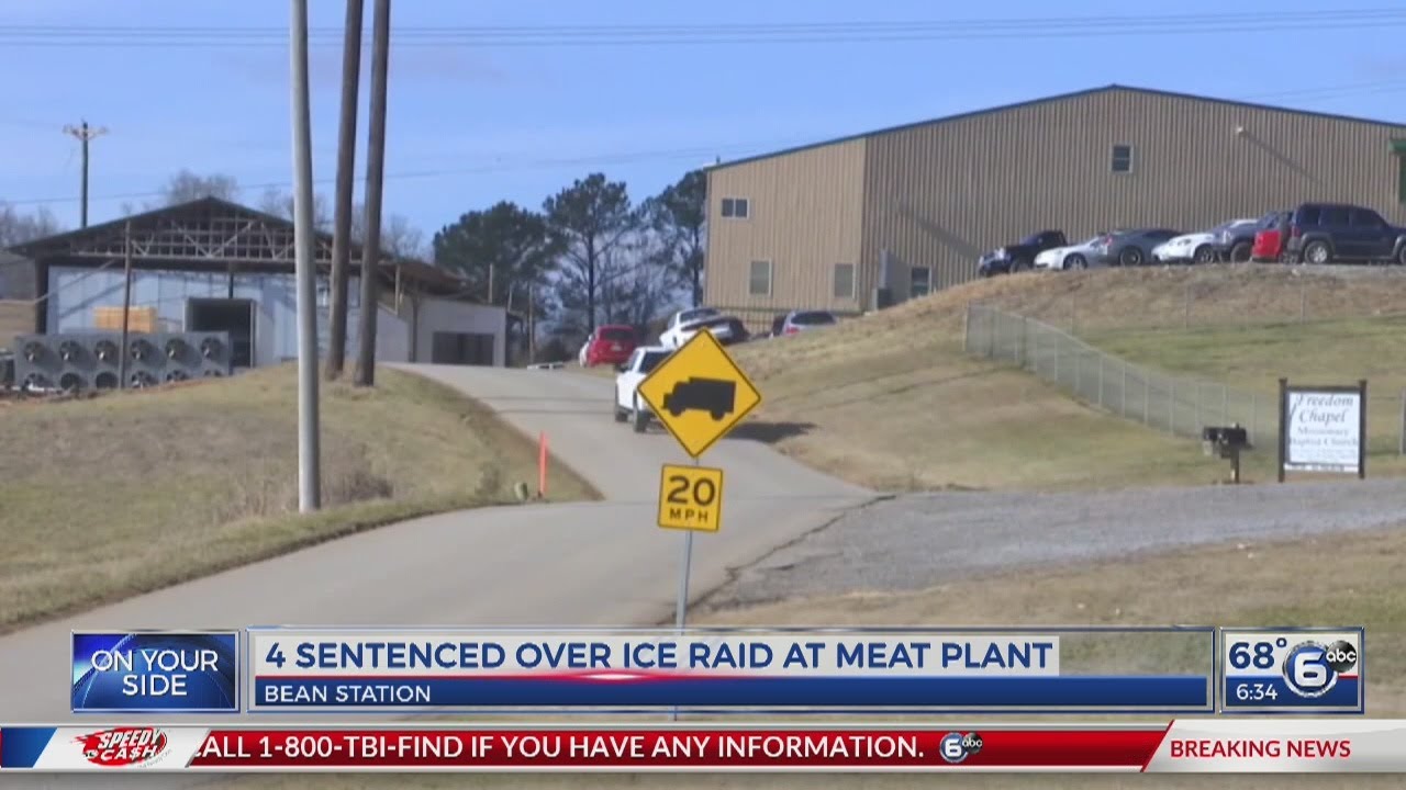 Four sentenced over ice raid at Bean Station meat plant