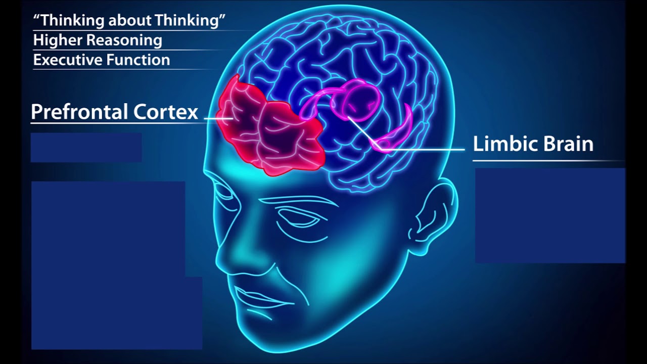How to Resolve Trauma stored in the Body using Pendulation