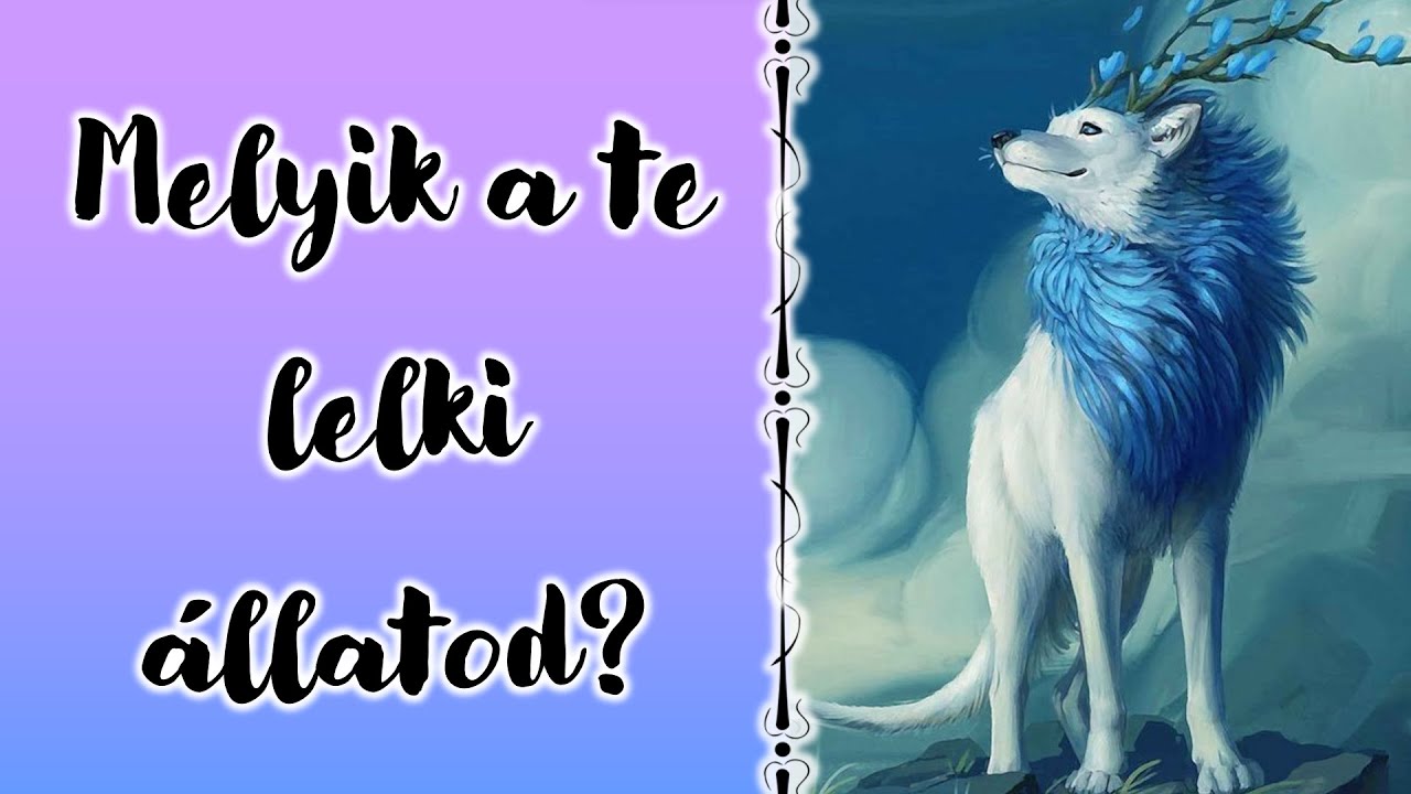 Kvíz: Melyik a te lelki állatod?