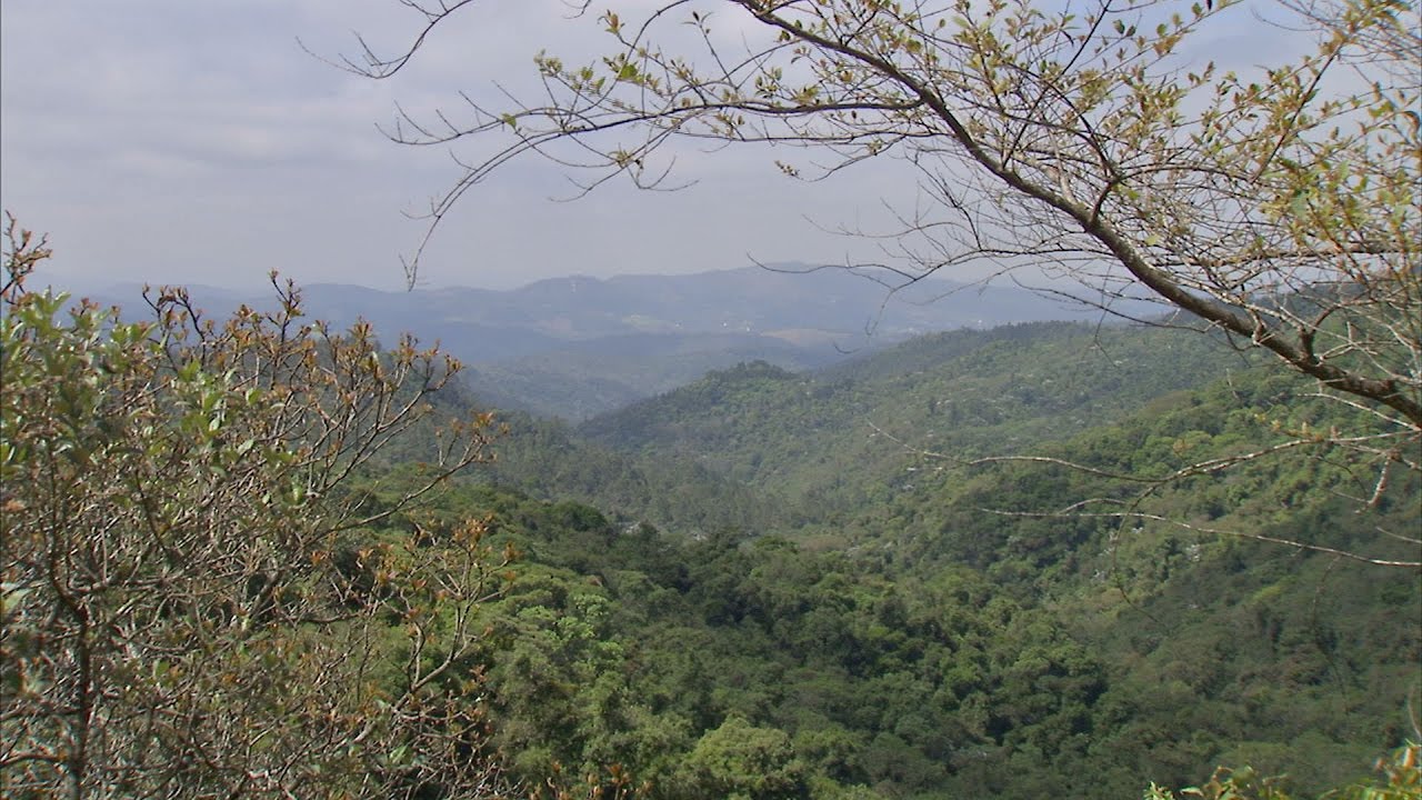 Serra do Japi