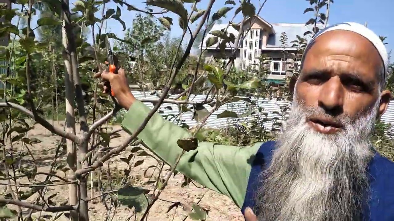 pruning kasa Karna ha trubble1,106,107,aur bending kasa Karna ha.