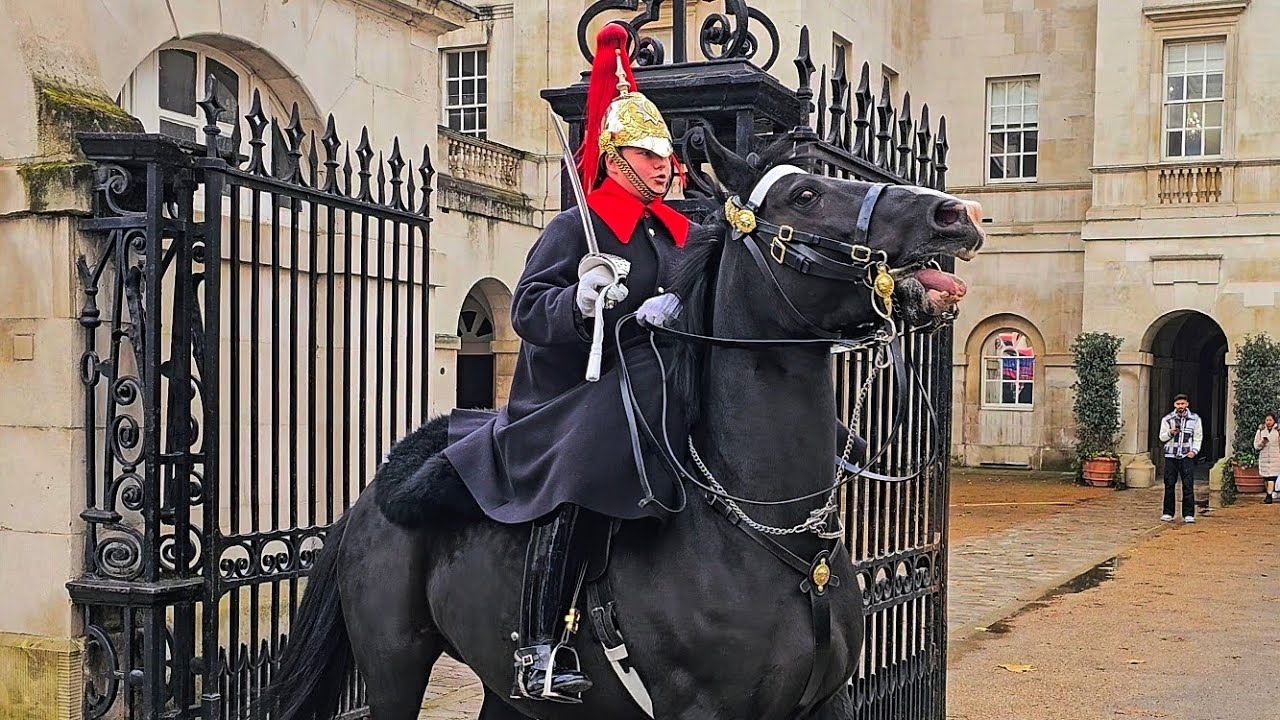 MELTDOWN as BOTH King's Horses leave the boxes on a windy day at Horse Guards!