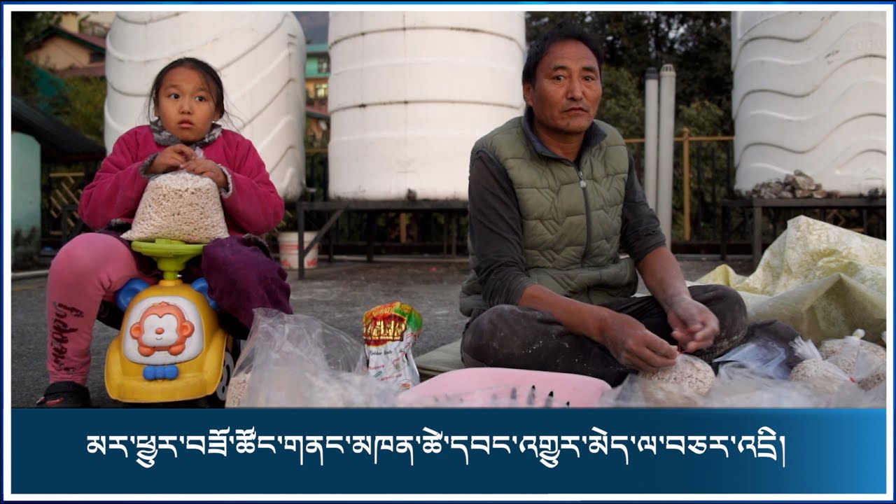 མར་ཕྱུར་བཟོ་ཚོང་གནང་མཁན་ཚེ་དབང་འགྱུར་མེད་ལ་བཅར་འདྲི།