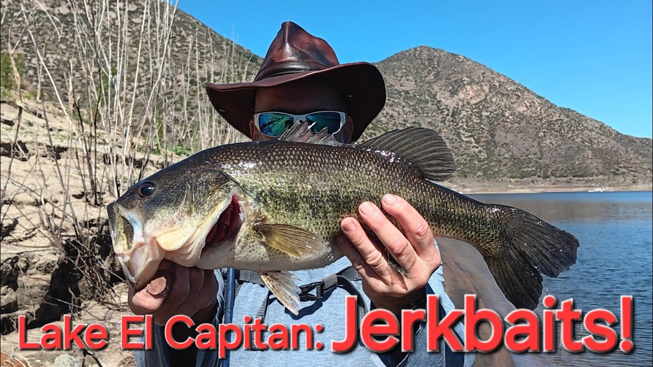 El Capitan Reservoir: Bfs Bass fishing! Jerkbaits!