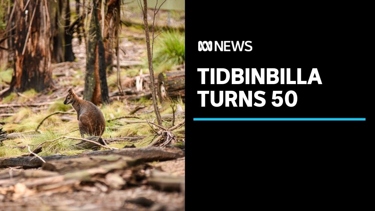 Tidbinbilla Nature Reserve marks Golden Jubilee milestone | ABC News