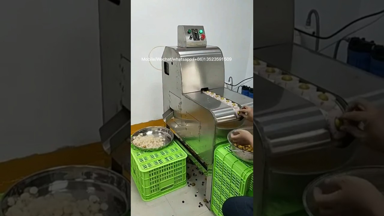 Automatic fresh Longan Peeling Machine for hot sale