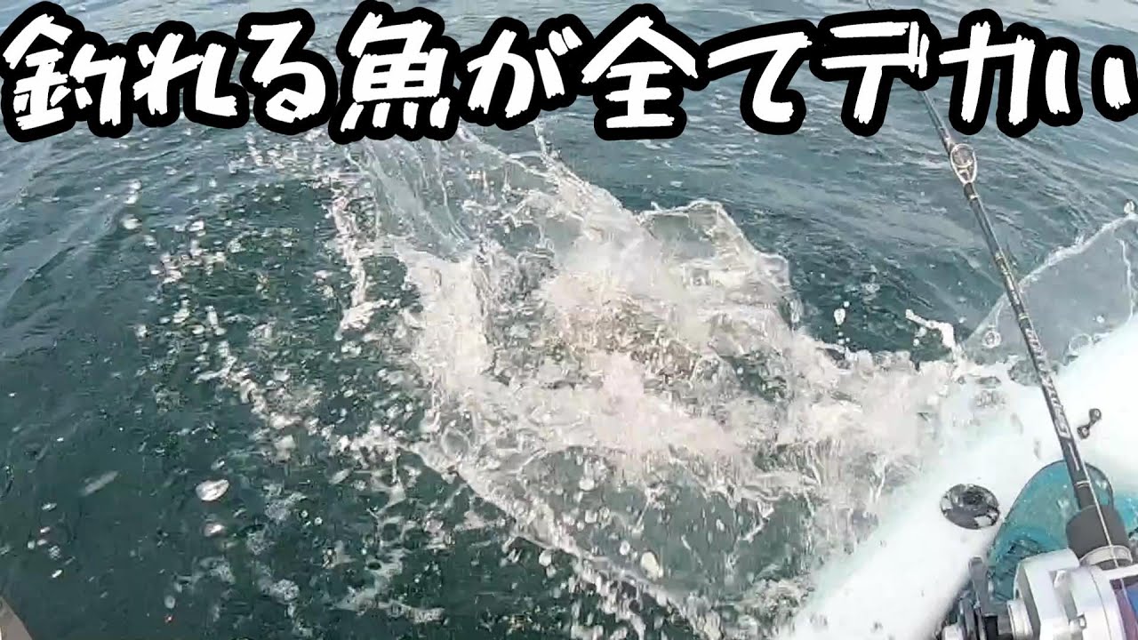 凄い海！モンスタータイラバゲーム！！カヤックで釣れるのは大物ばかり！＠釣りに行こうか