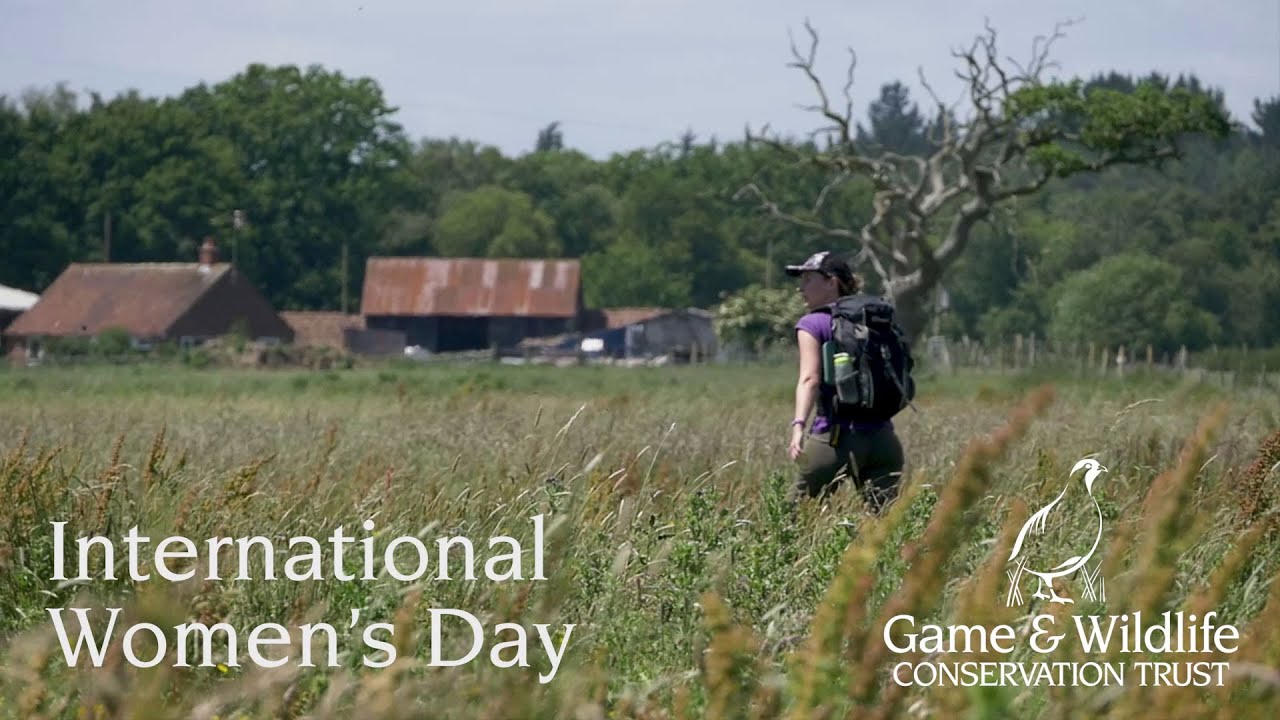Celebrating women in wildlife for International Women's Day 2025