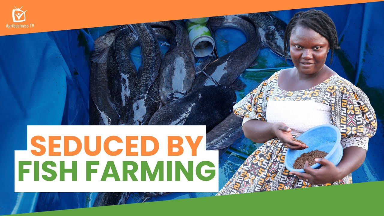 Burkina Faso: Seduced by fish farming