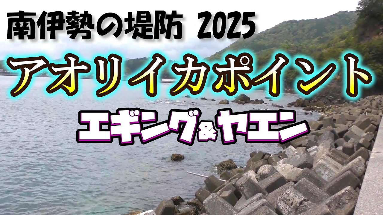 アオリイカ釣りポイント紹介 2025 in 南伊勢町 南島地区【エギング＆ヤエン釣り】