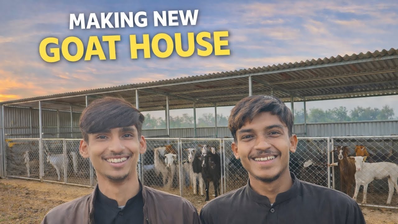 Making New goat 🐐house🏠 in village (Ahmad pendu)/zohaib pendu @zohaibpendu5079 