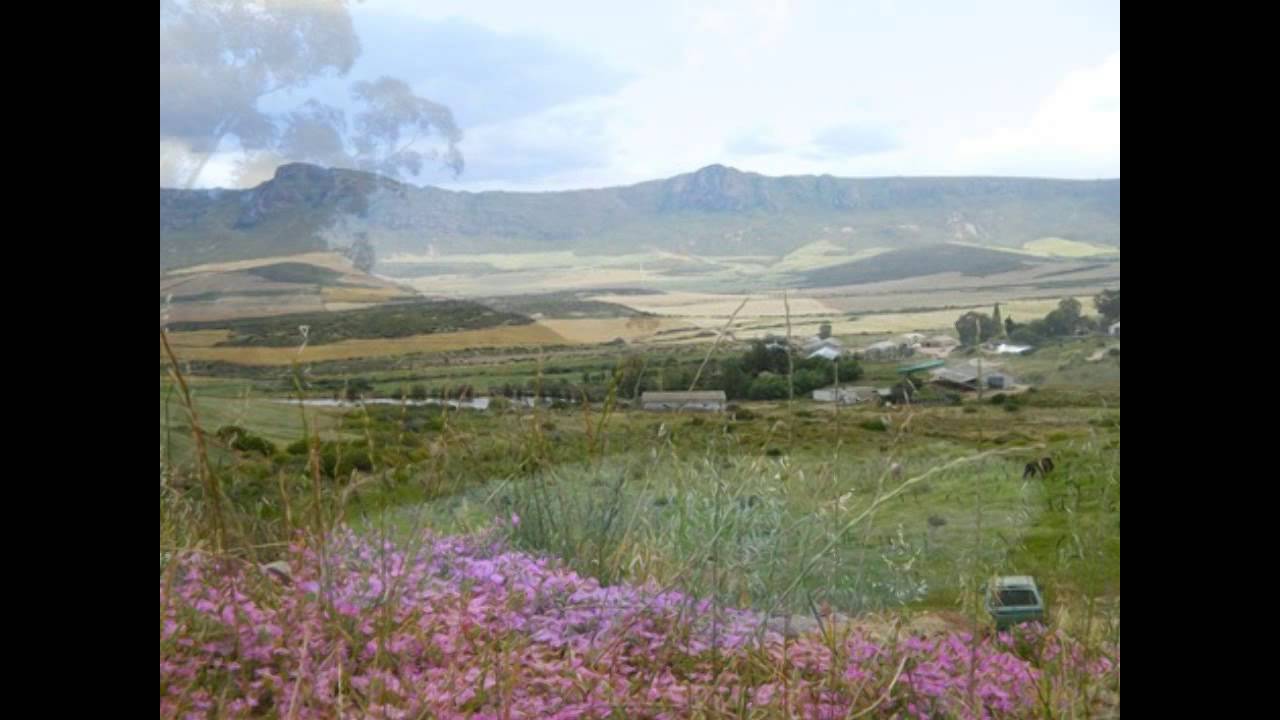 Livestock wheat and irrigation farm for sale around Piketberg Western Cape