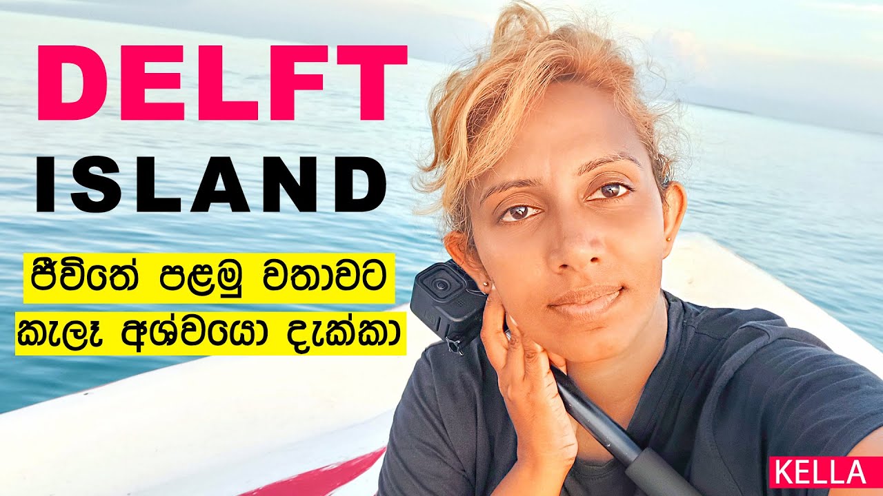 ජීවිතේ පළමු වතාවට කැලෑ අශ්වයො දැක්කා | DELFT ISLAND- SRI LANKA