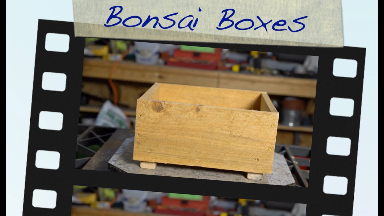 Bonsai Boxes:  Dave's Bonsai E101
