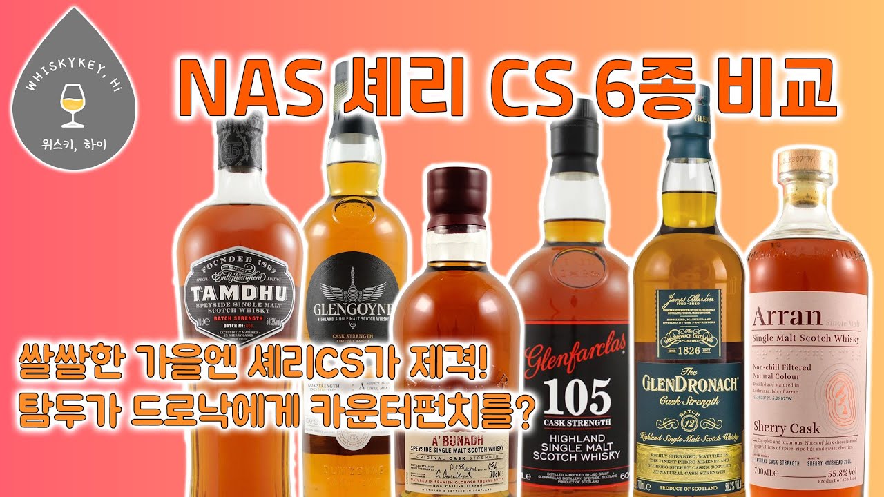 쌀쌀한 늦가을엔 강력한 셰리CS위스키가 제격! 국내구매가능한 N.A.S CS 셰리 6종 비교시음 [#위스키하이]