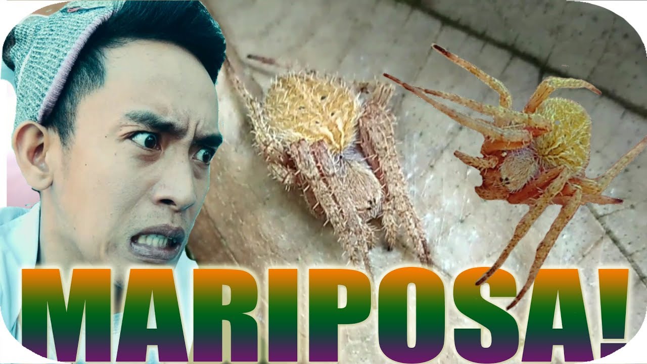 🔴ANG LUPET NAMAN NG GAGAMBANG MARIPOSANG NAHULI KO😱