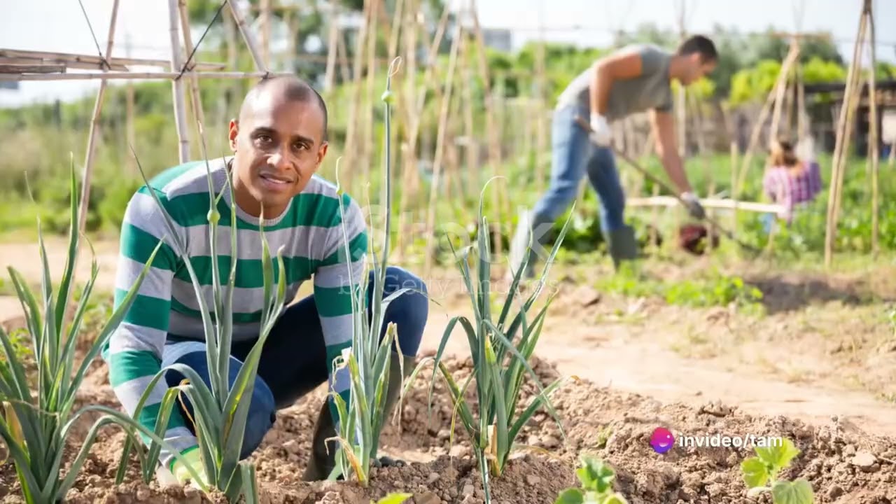 Seasonal Gardening in UAE: Maximizing Your Vegetable Yield
