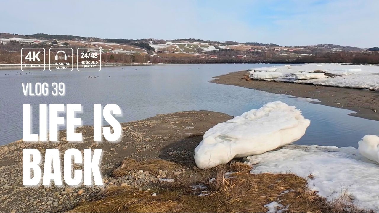 📆 Vlog 39: Life is back at Gaula River. A little sense of spring?