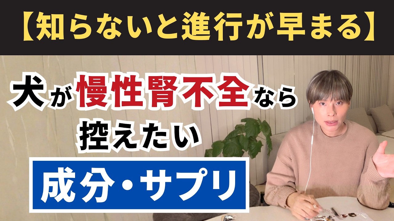 【知らないと進行が早まる】犬が慢性腎不全なら控えたい成分・サプリ