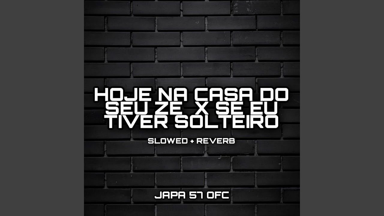 Hoje Na Casa Do Seu Zé X Se Eu Tiver Solteiro (Slowed + Reverb)